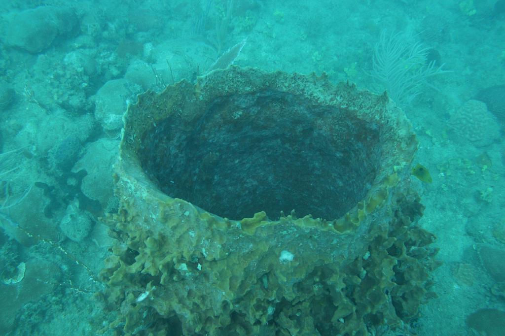 2008-05-17 17-07-35 H.JPG